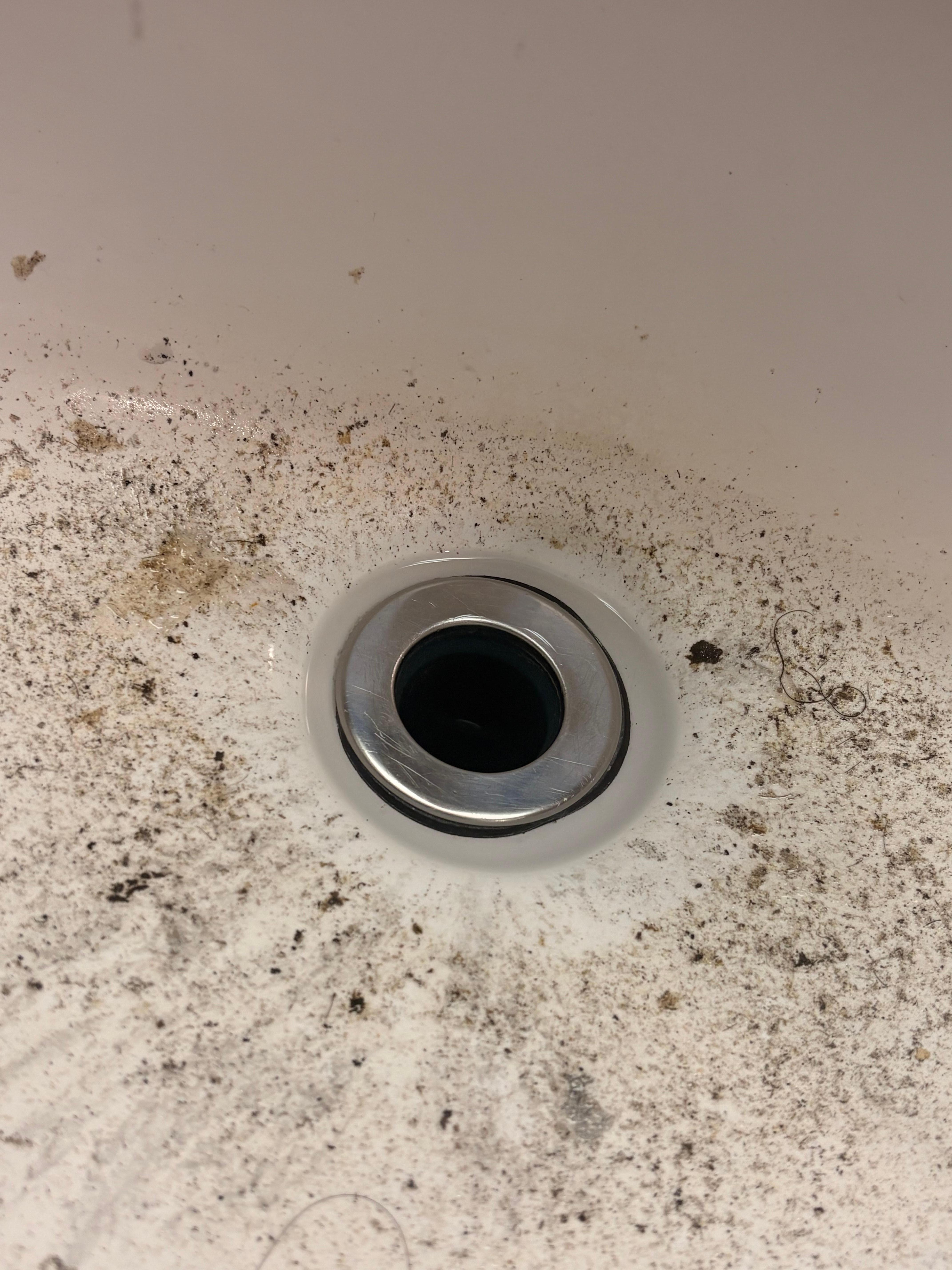 when the sink drained it would leave this debris. 