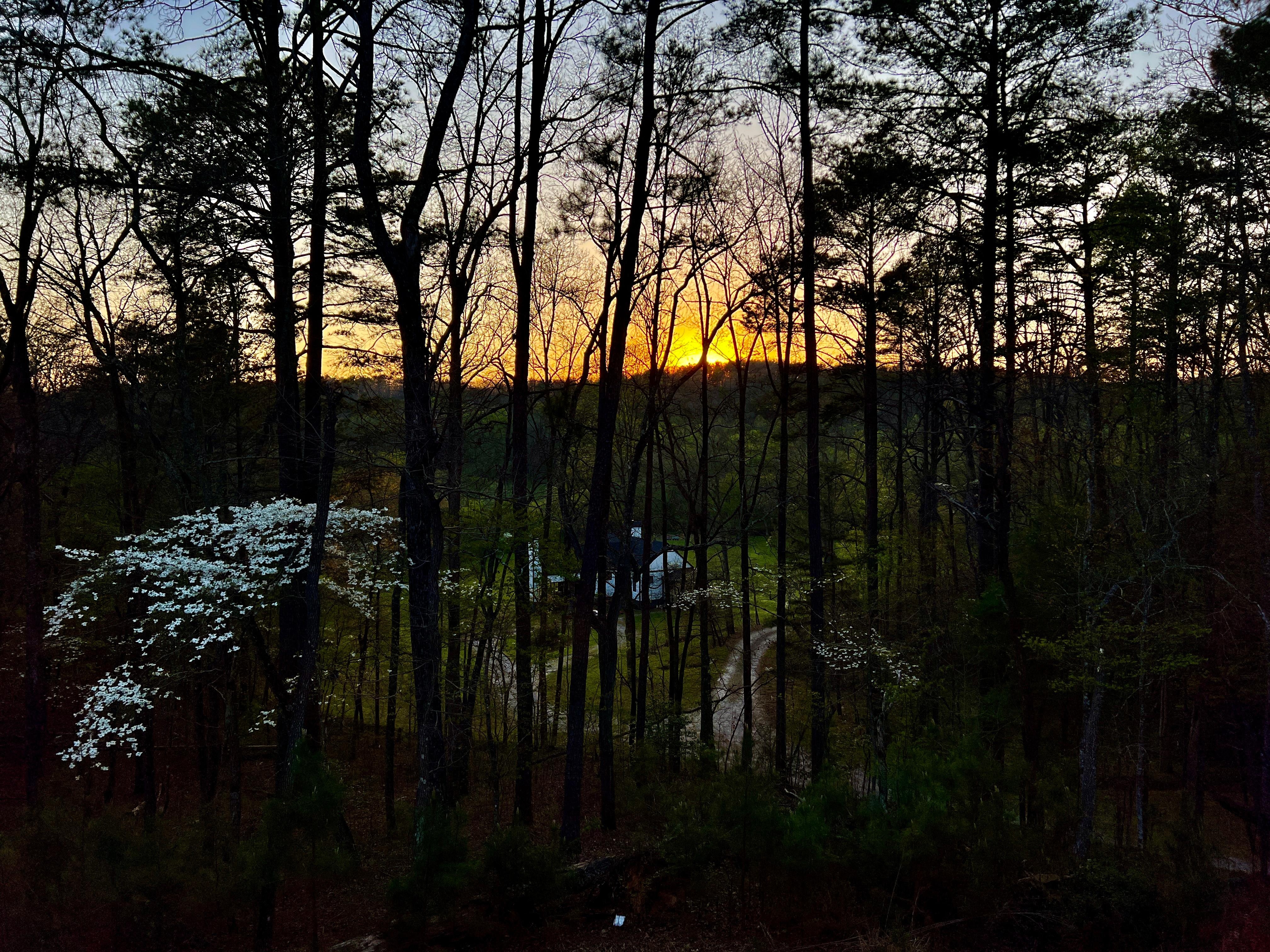 Sunset view from the rear of the cabin