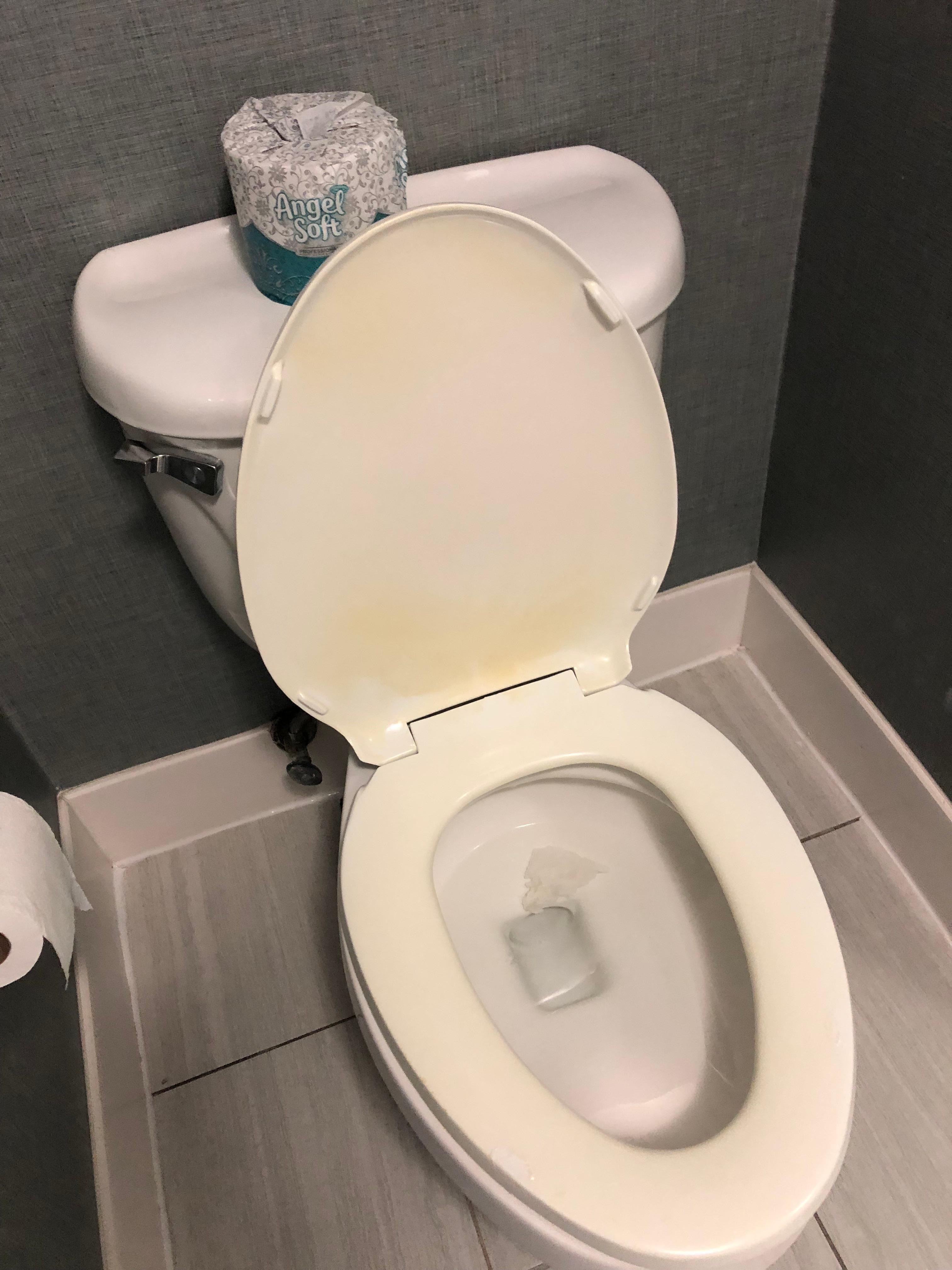 Toilet seat stained