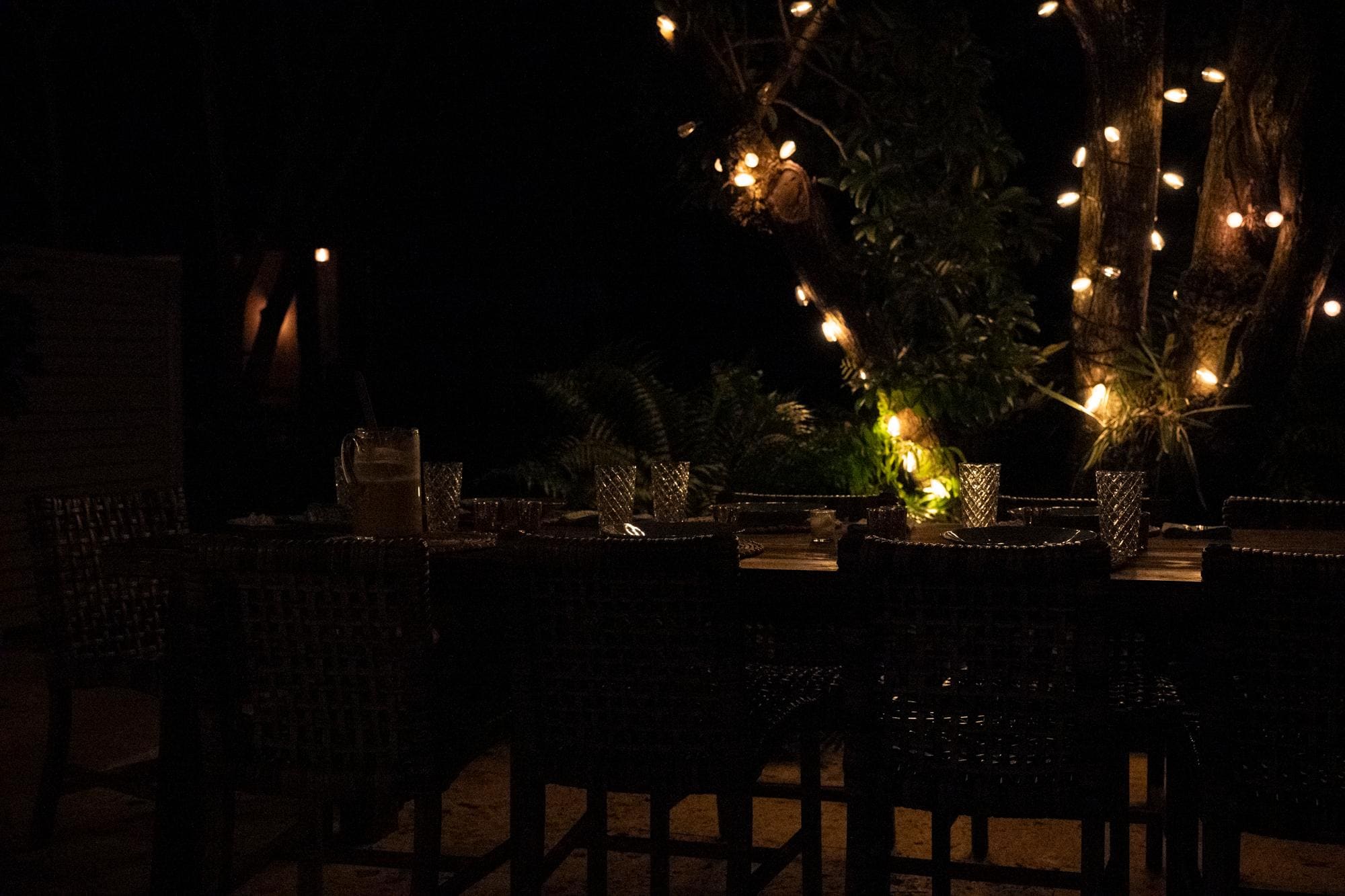 evening in the back yard with great lighting