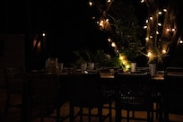 evening in the back yard with great lighting