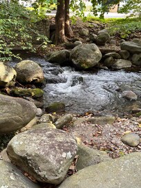 The Creek