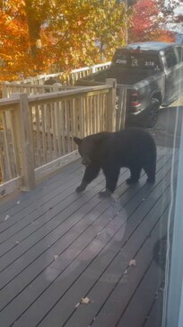 We had a few visitors. This is just one of 5 we had.