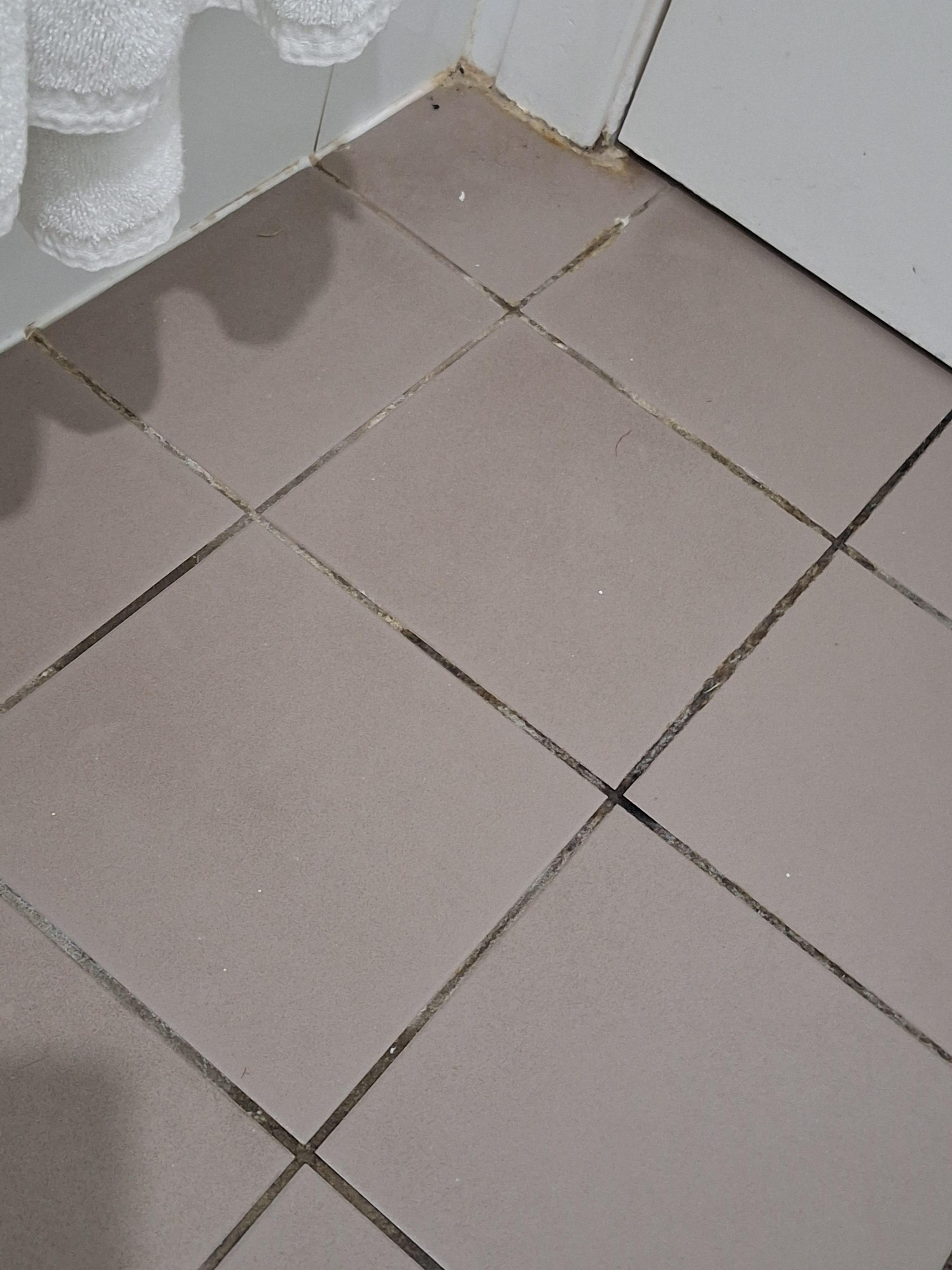 Unfortunately dirty bathroom tiles.