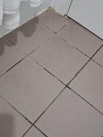 Unfortunately dirty bathroom tiles.