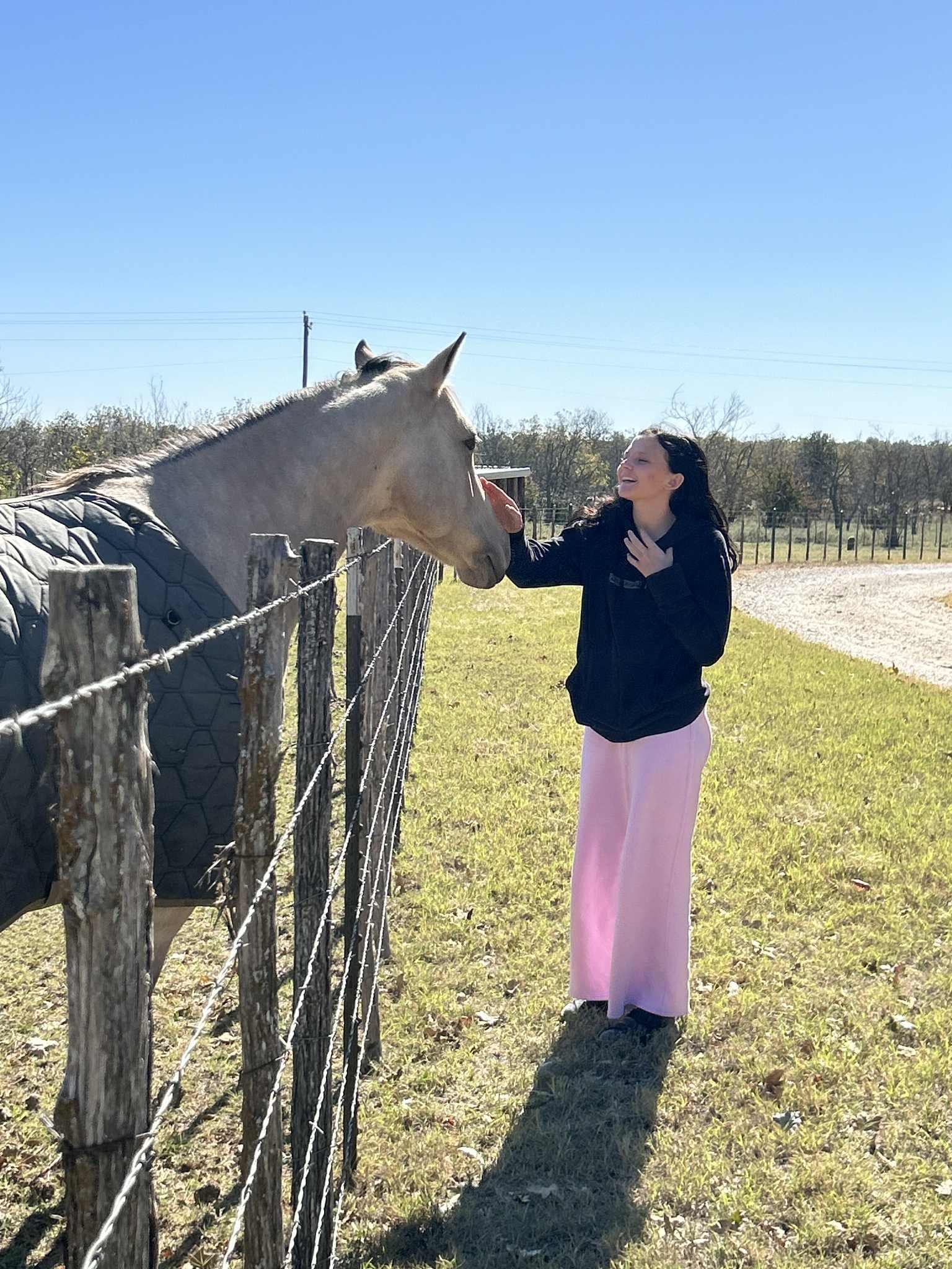 Feeding and petting the horses