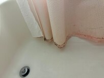 Molded shower curtain