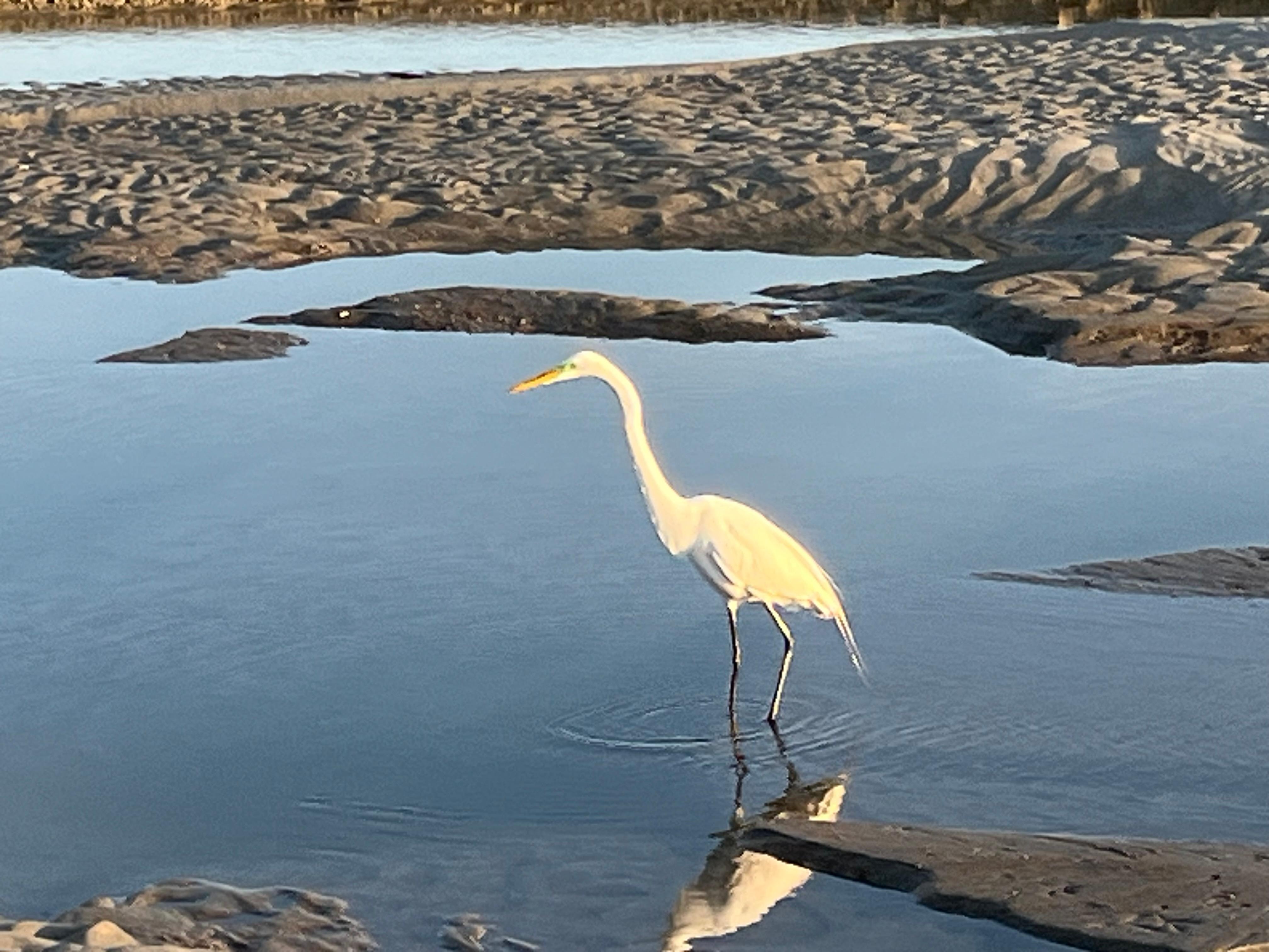 Beach had benches, tables, and a grill.