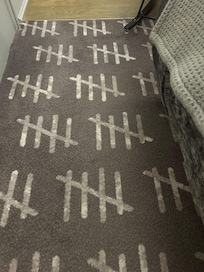 Carpet in the cell double room