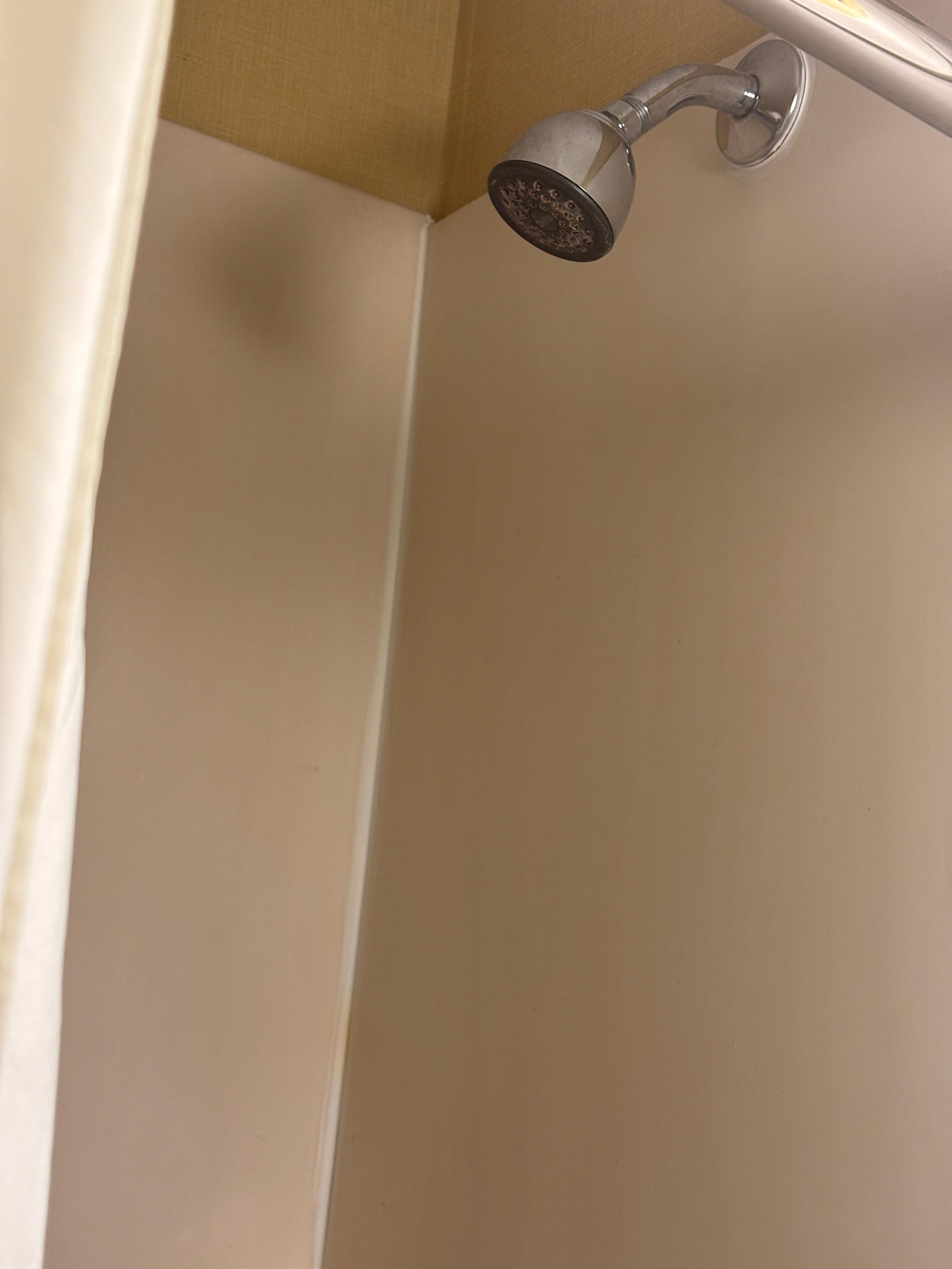 Shower faucets molded and dirty 