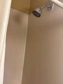 Shower faucets molded and dirty