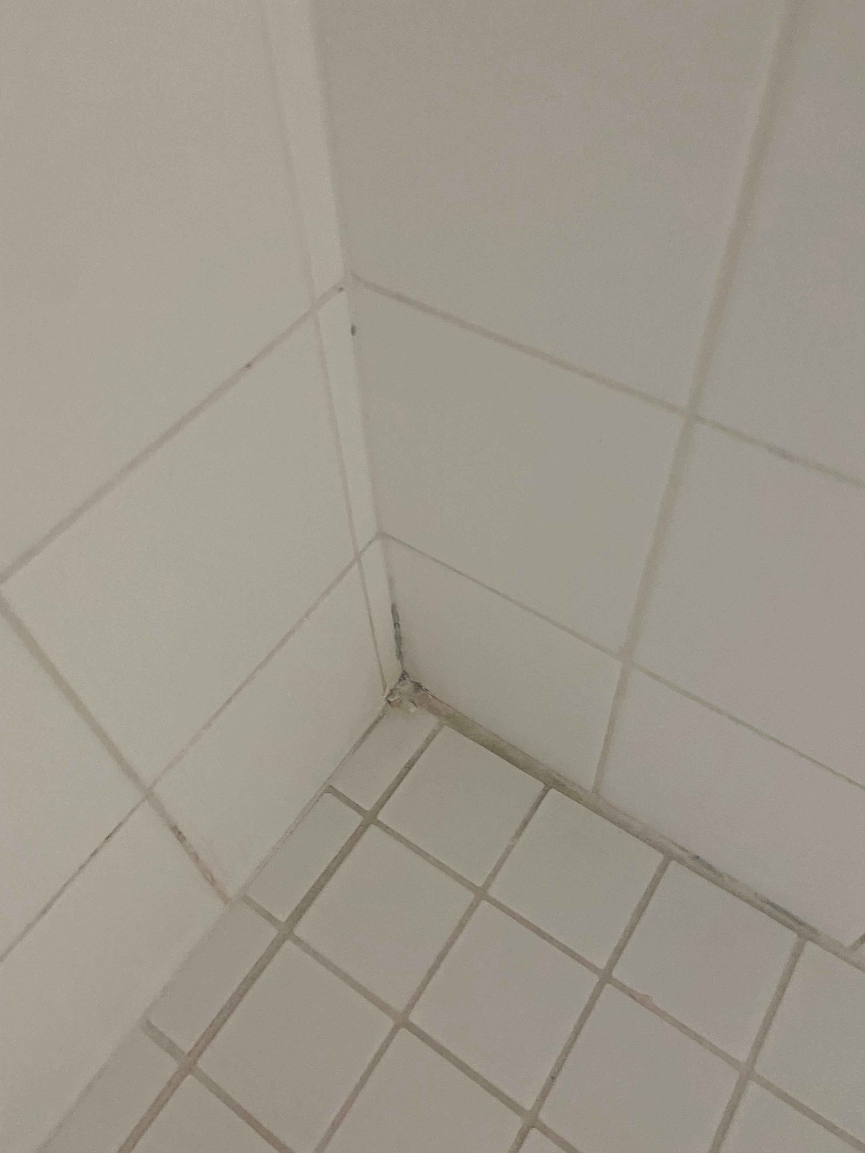 Mold in caulk master suite