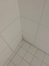 Mold in caulk master suite