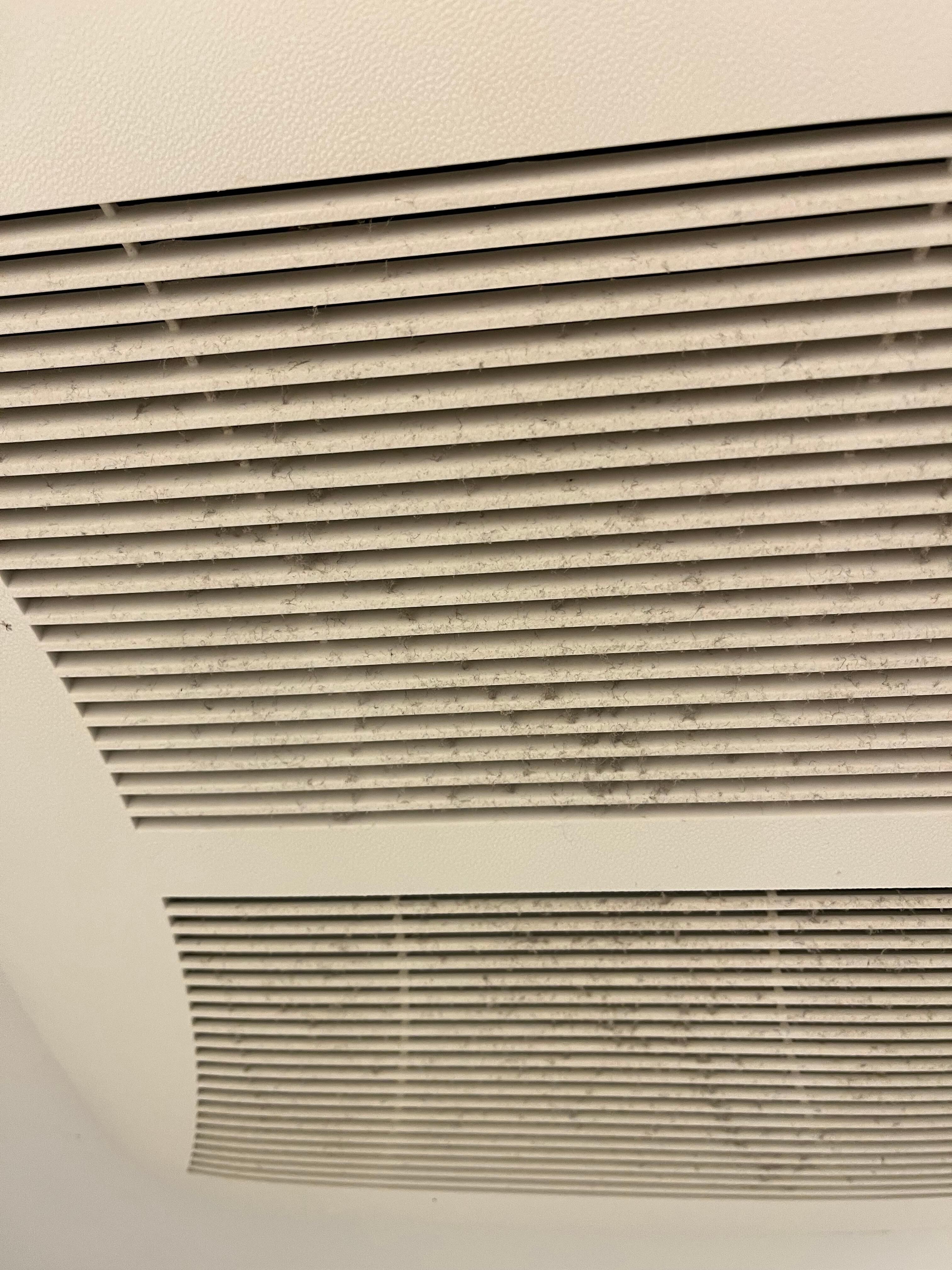 Dust in bathroom