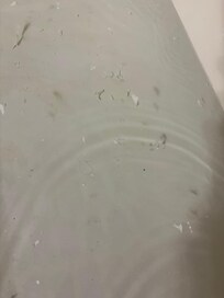 Paint chips in bath water