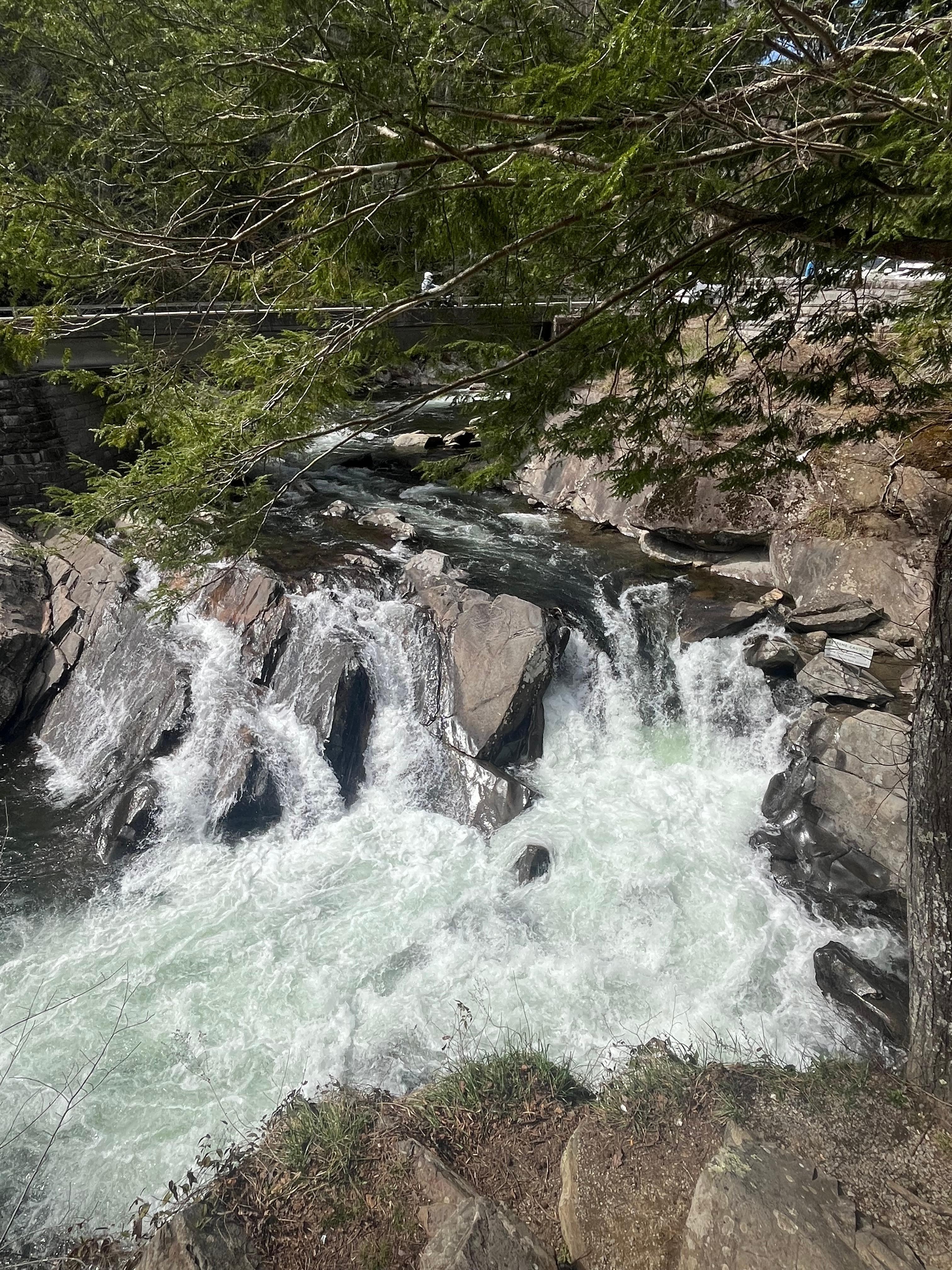 Gorgeous water falls!