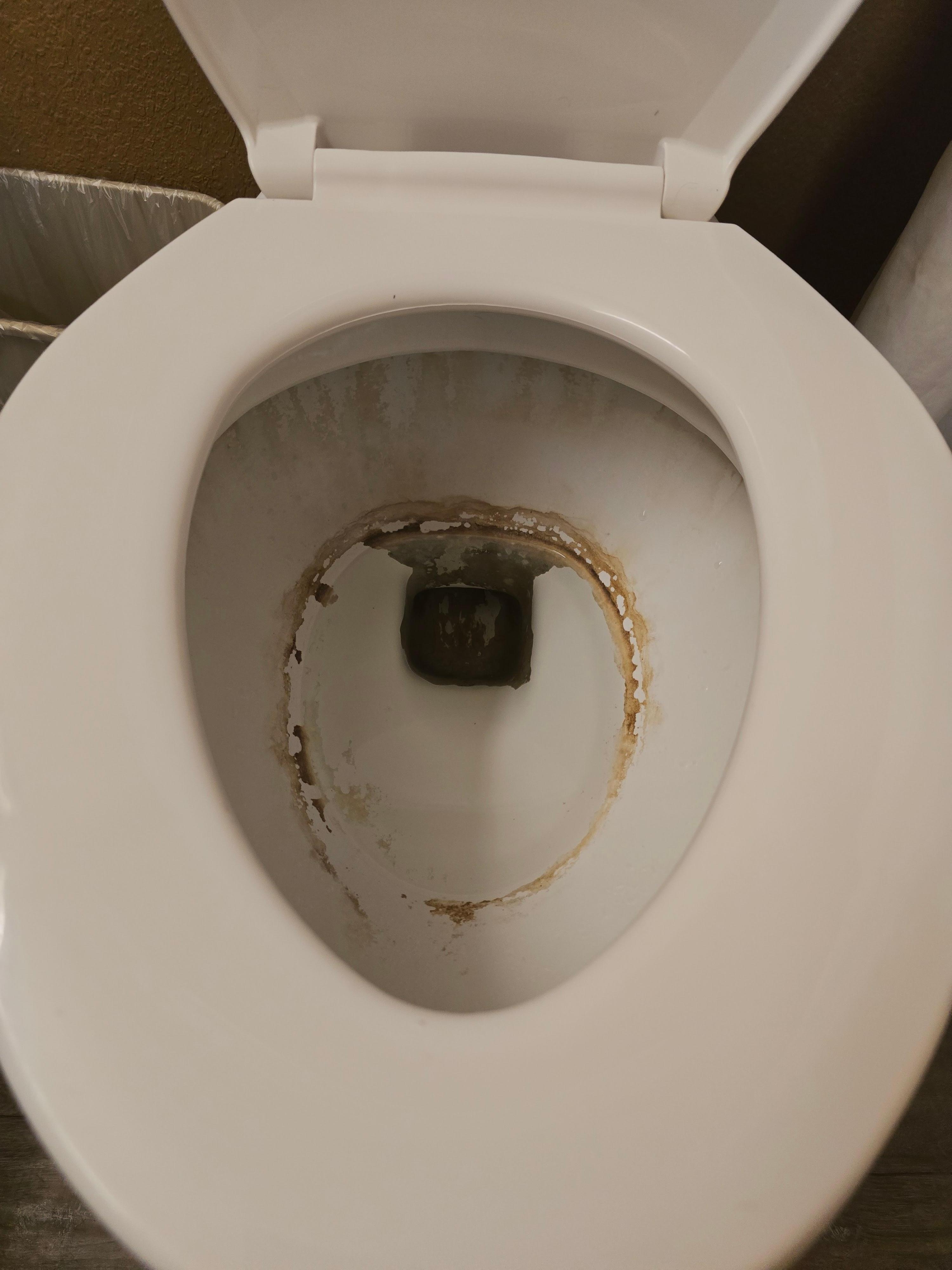 The toilet 