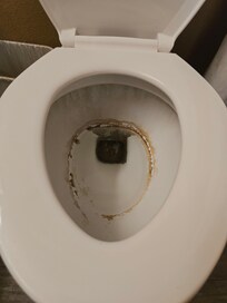 The toilet