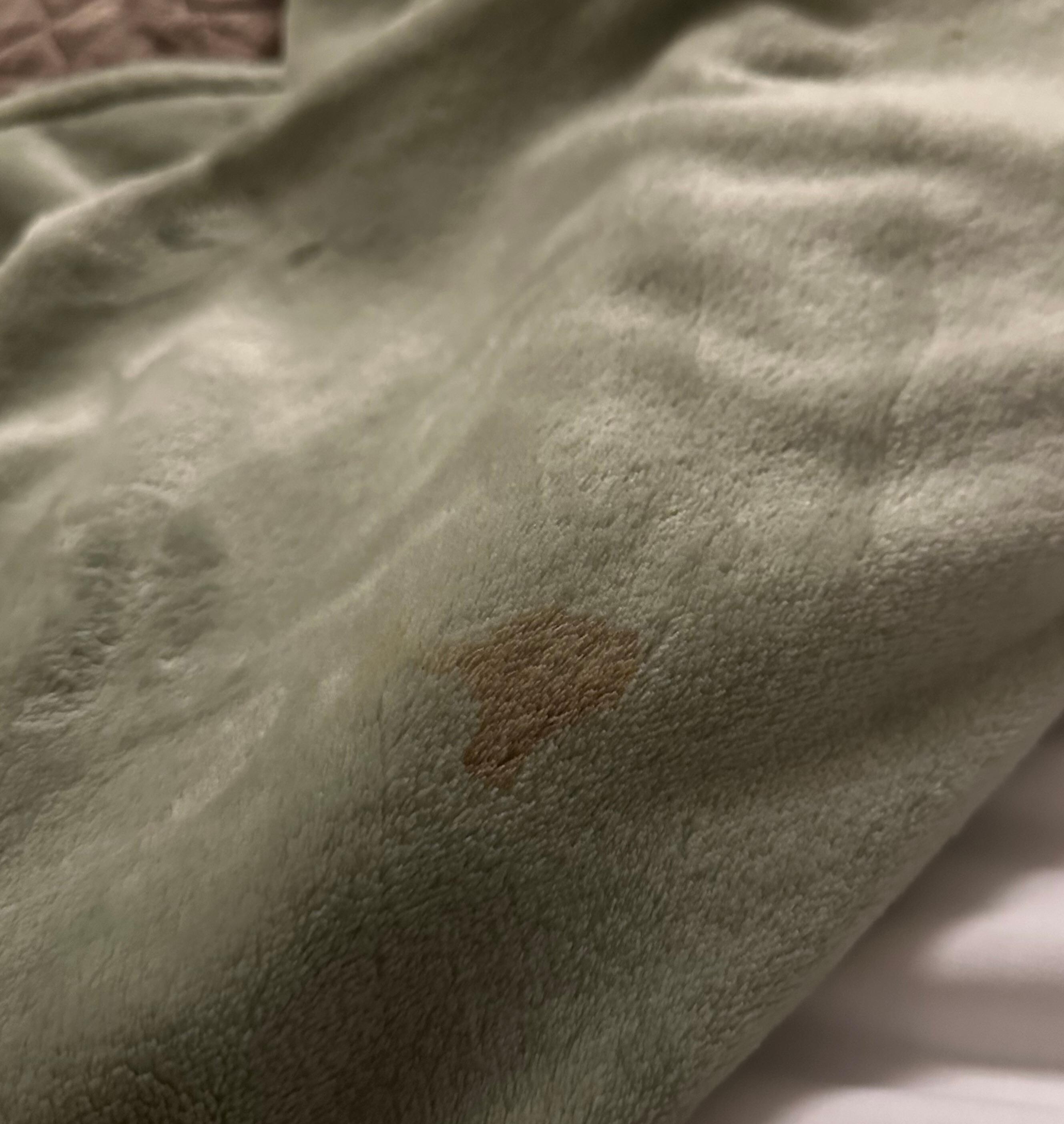 Stain on blanket