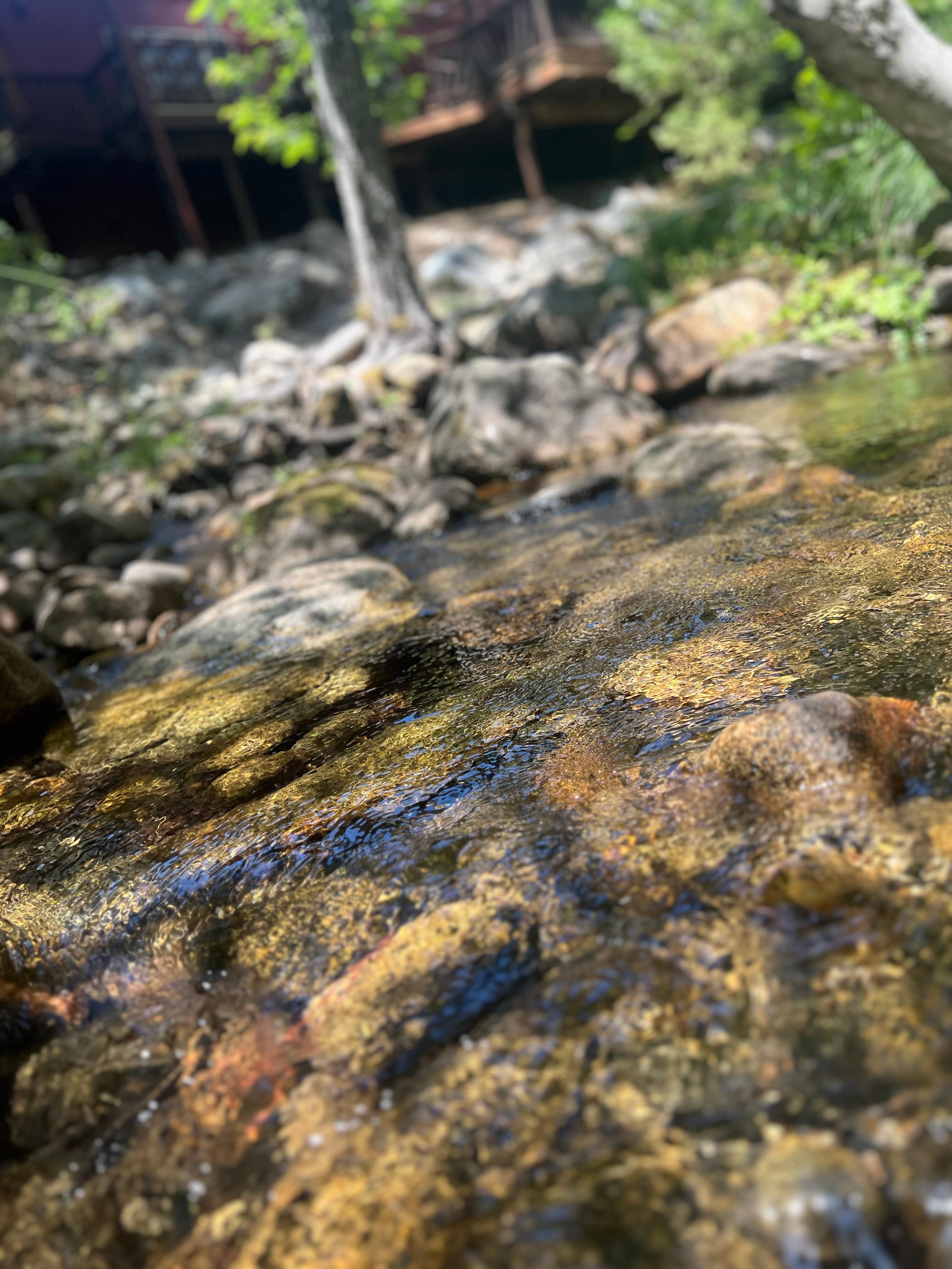 The creek