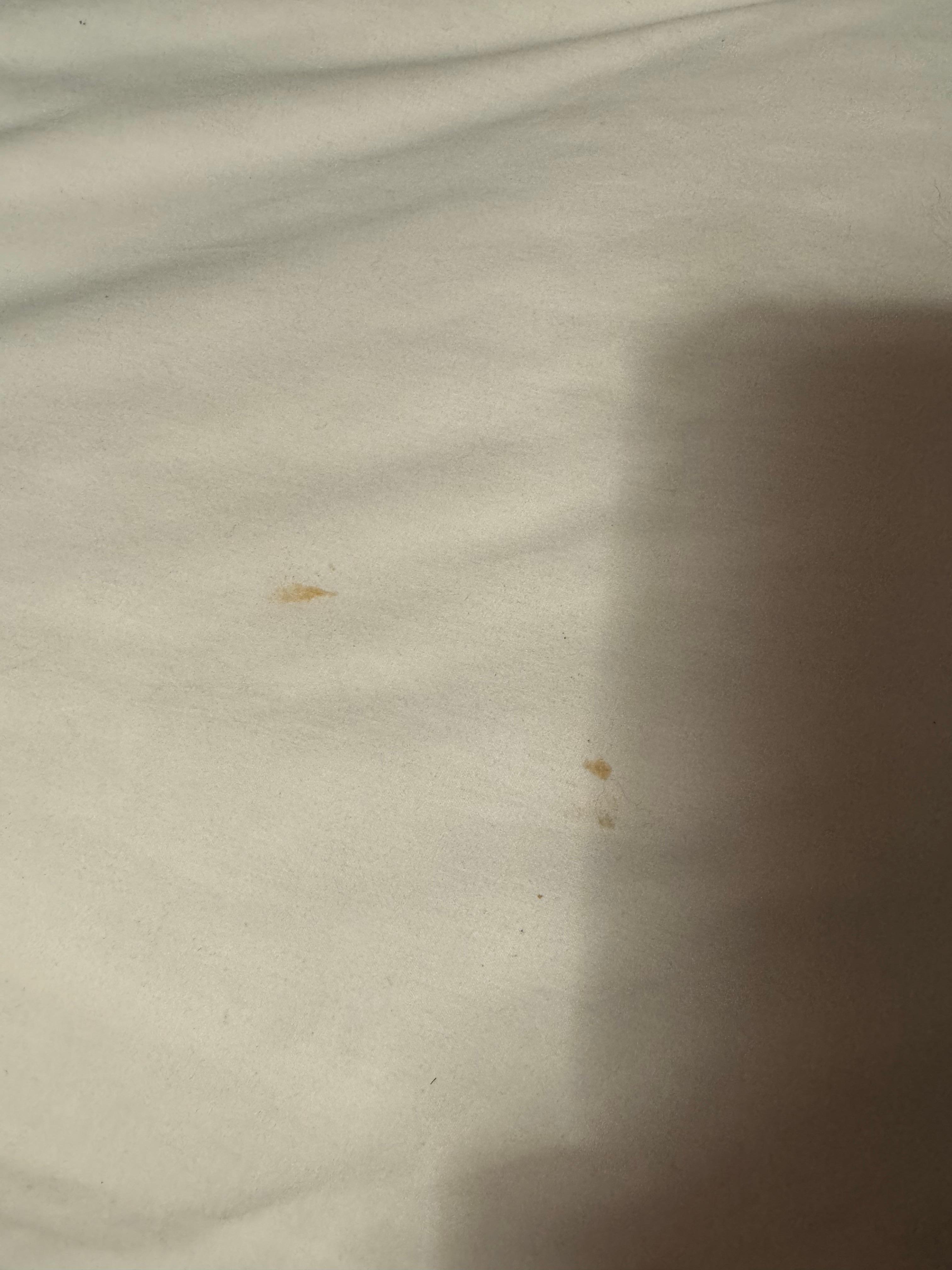 Blood stains on sheet