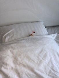 Mijn nimmaq vond het ook lekker slapen in dit bed.