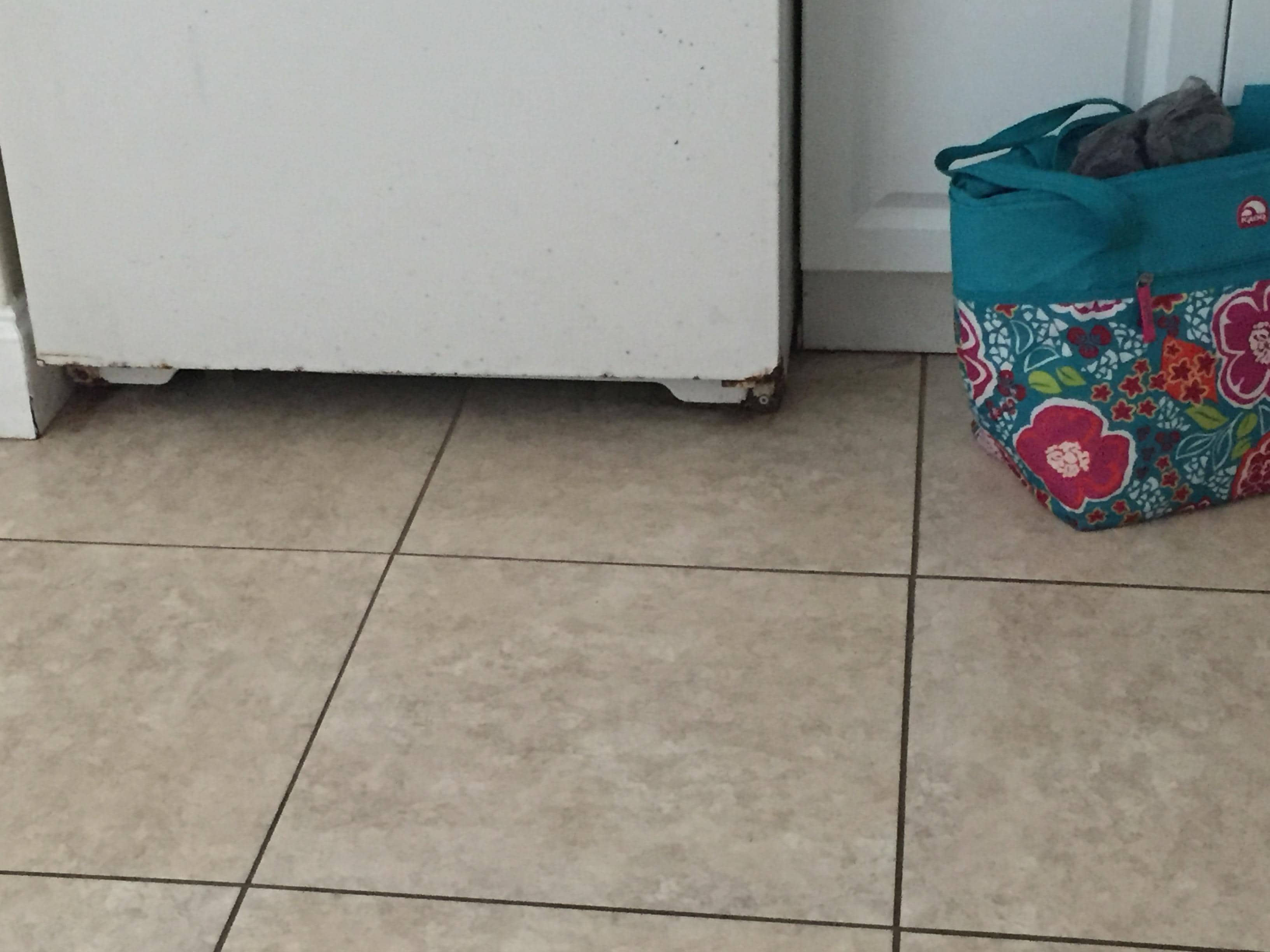 Door doesn't close all the way