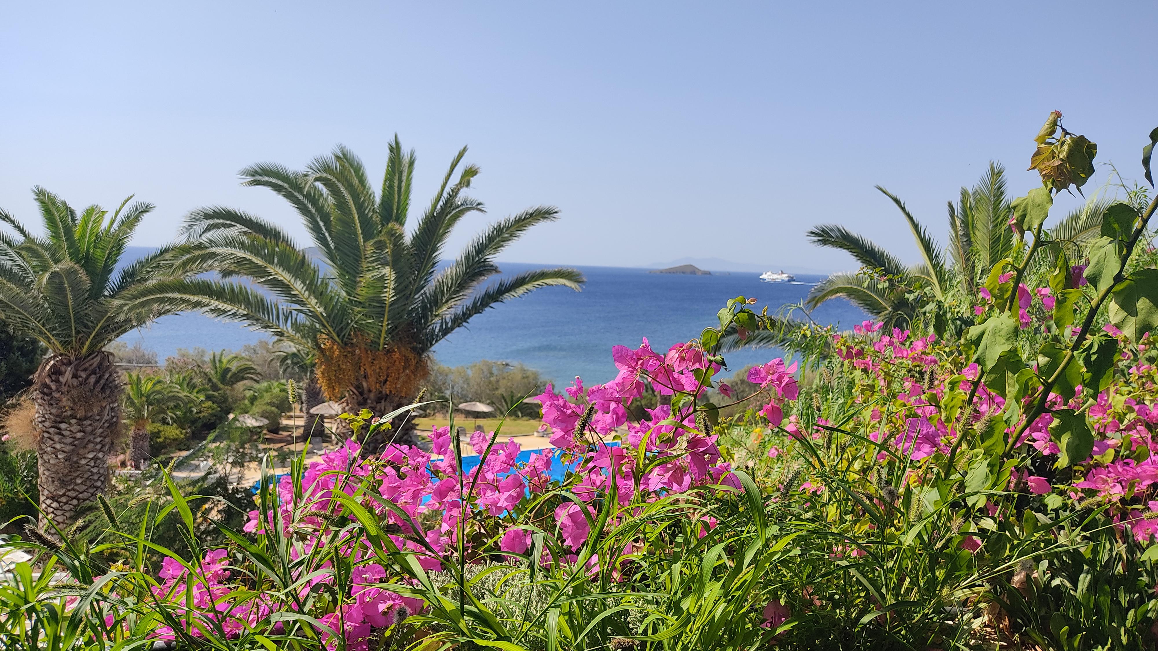 View from the terrace during breakfast