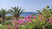 View from the terrace during breakfast