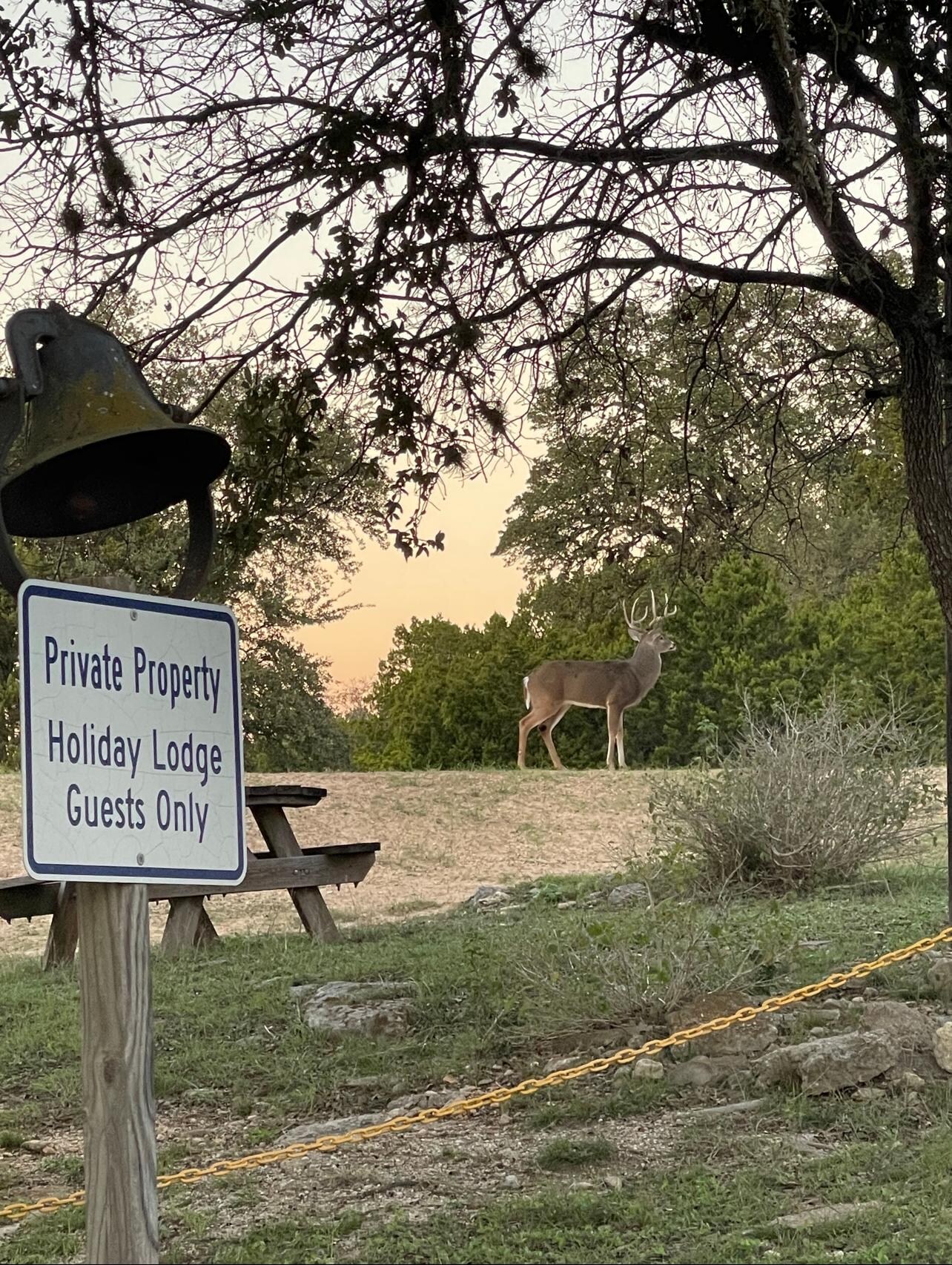 Petite visite du soir