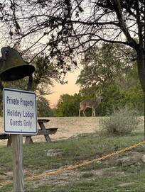 Petite visite du soir