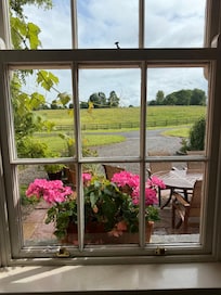 View from window