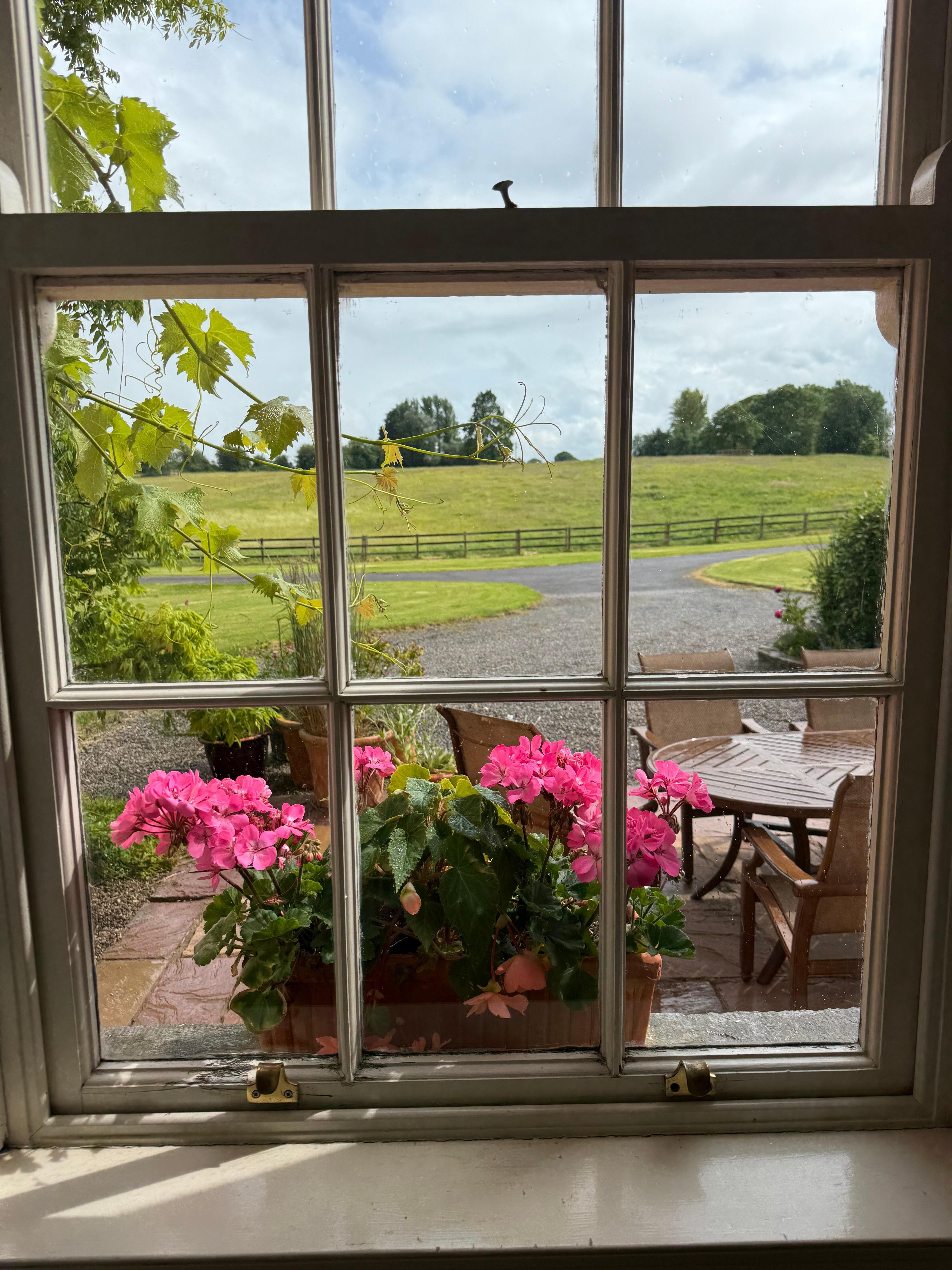 View from window
