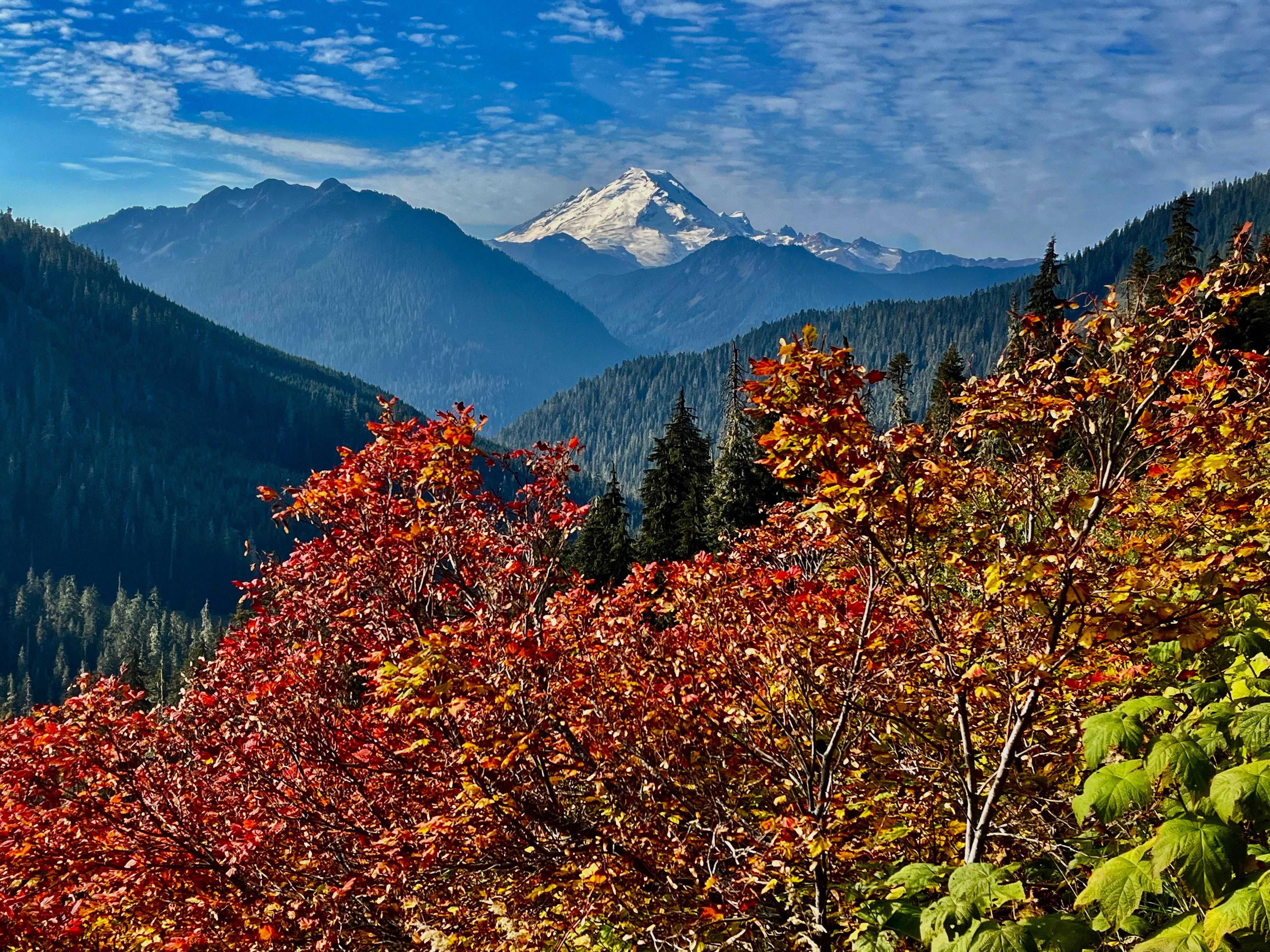 Yellow Aster Butte trail