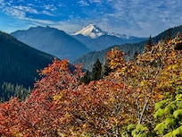 Yellow Aster Butte trail