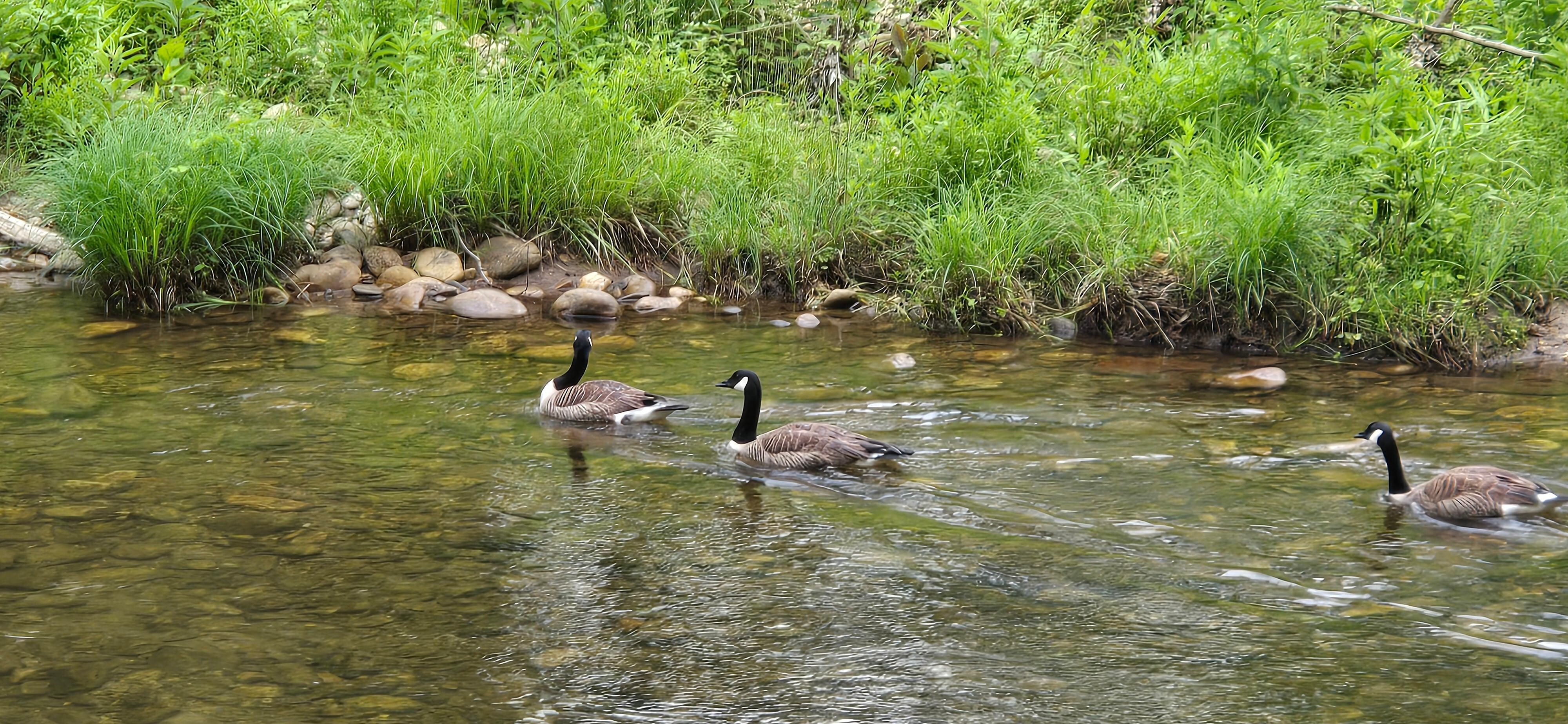 Visitors