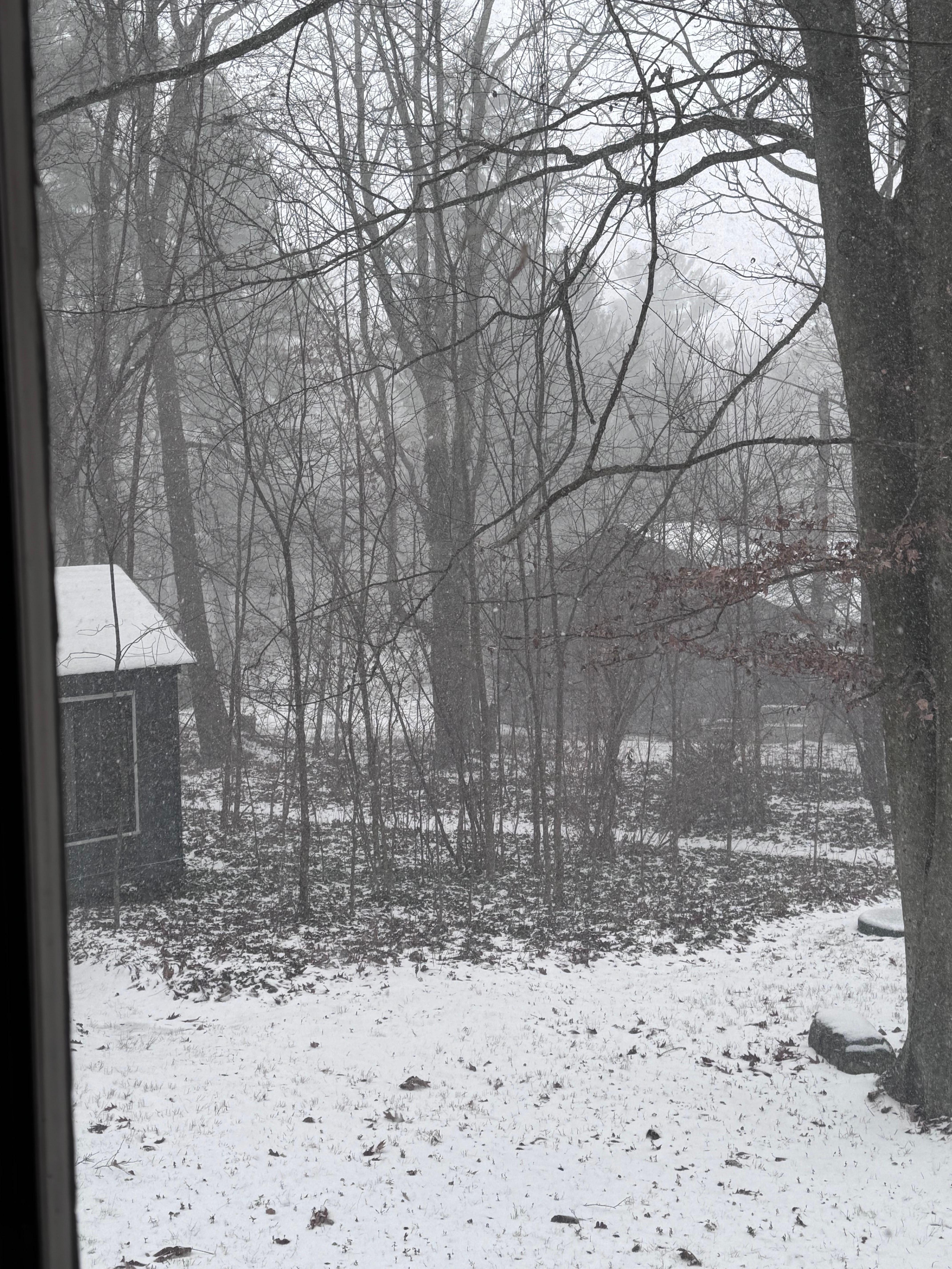 It was gorgeous. Like something out of the movies.