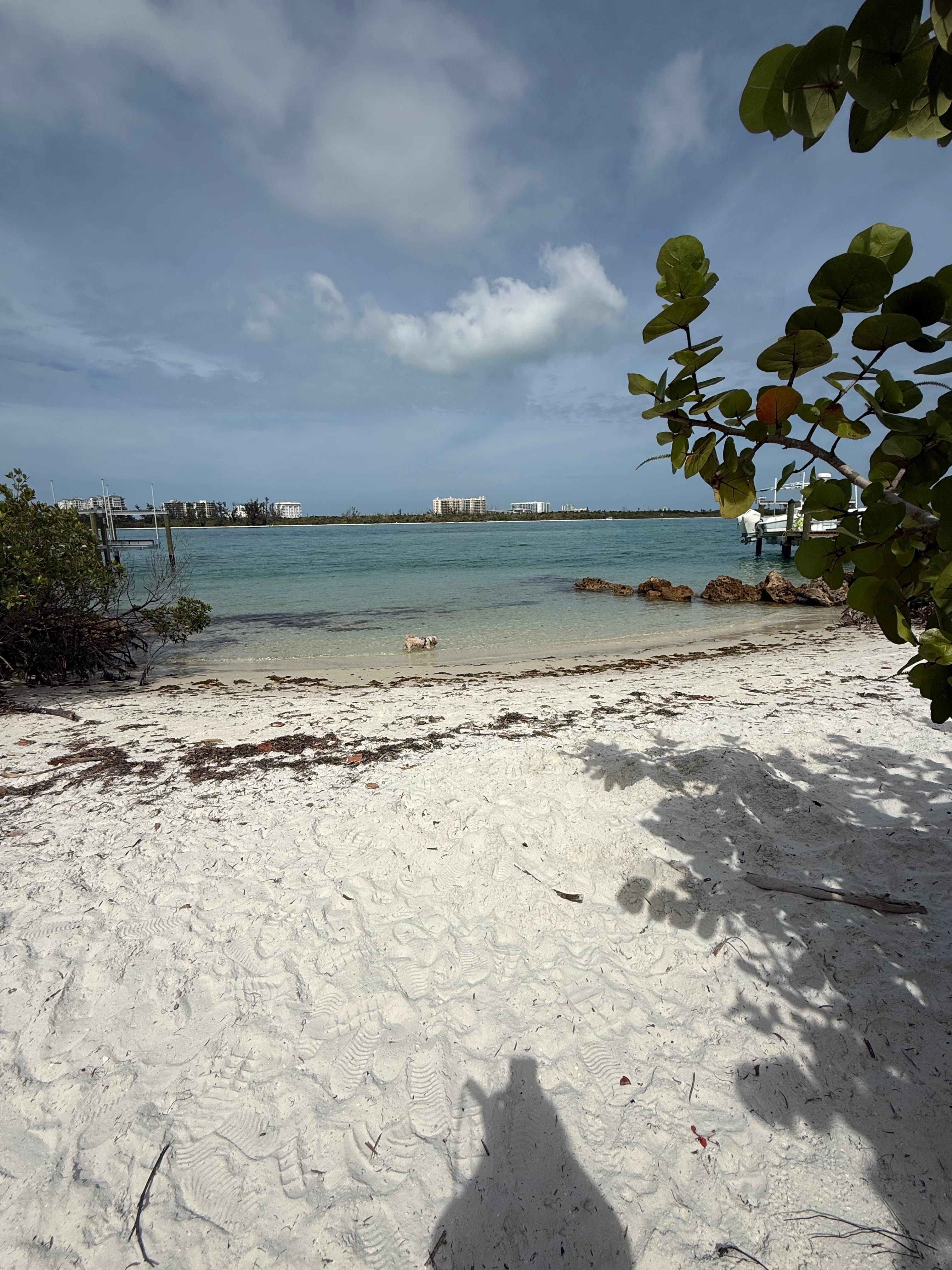 Little hidden gem, down the street from the house. 