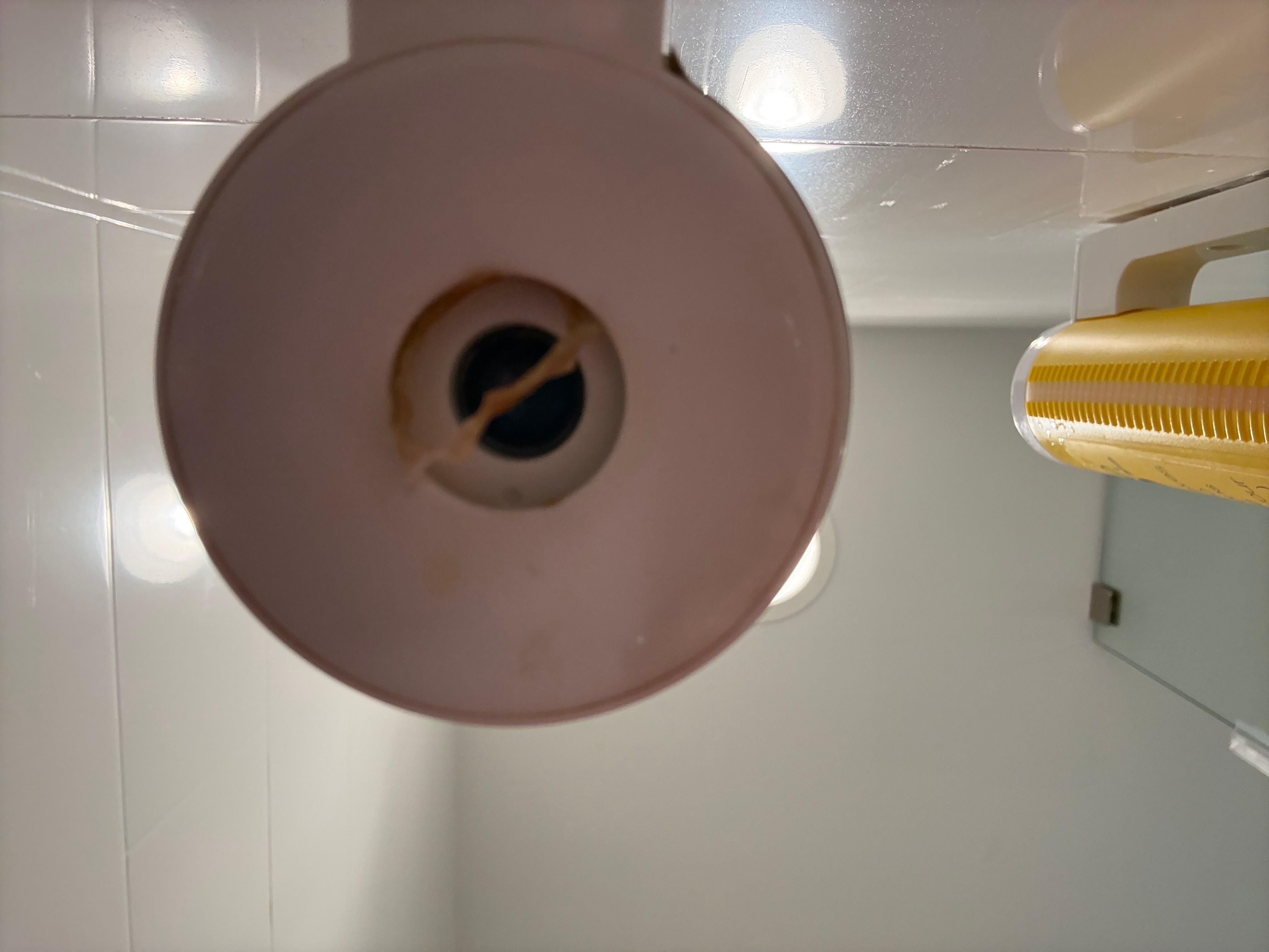 Shower wall container