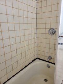 Poorly maintained shower with no amenities
