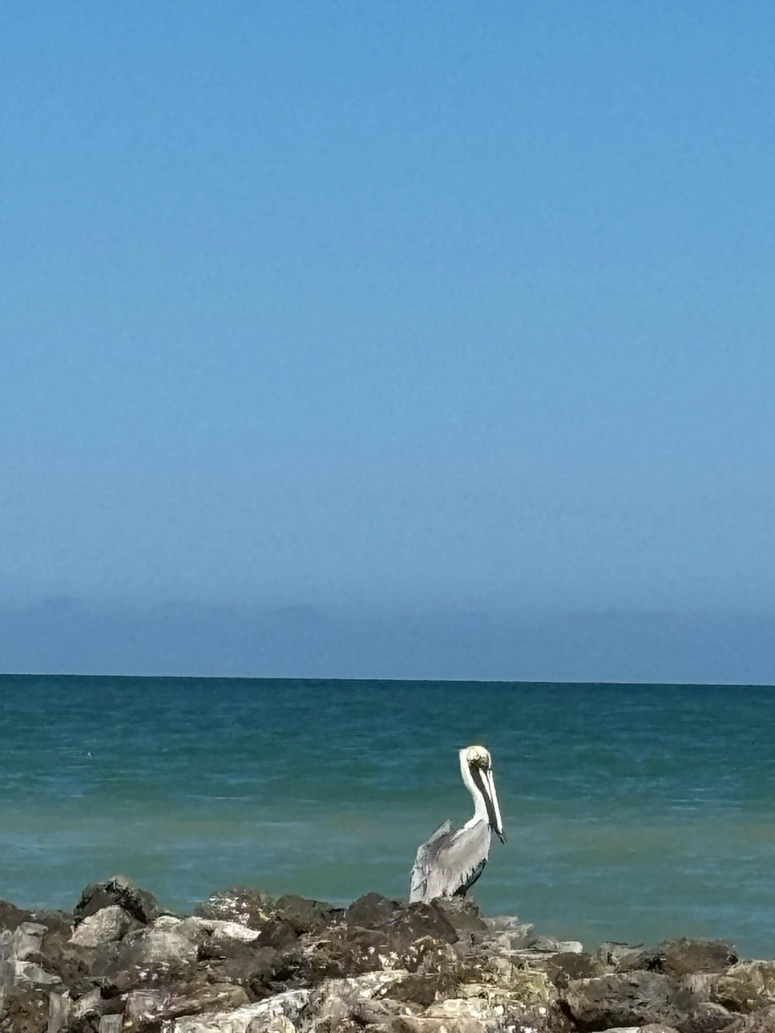 The beach was amazing. Almost no boats or planes disturbing the view. 