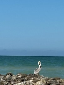 The beach was amazing. Almost no boats or planes disturbing the view.