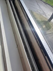 Mold
