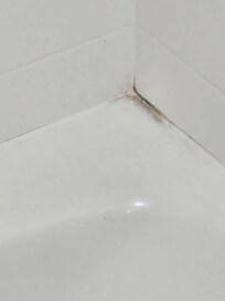 Mold in bathtub