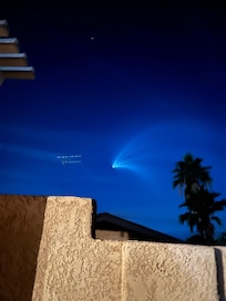 A unique sight from the backyard