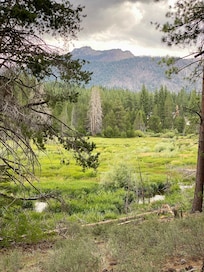 Hiking trail with meadow