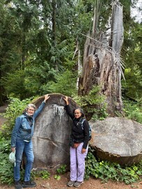 The tour with Ashton of the old growth forest across the late--fabulous tour!