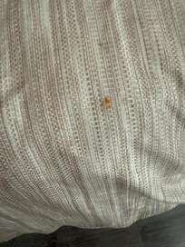 Stain