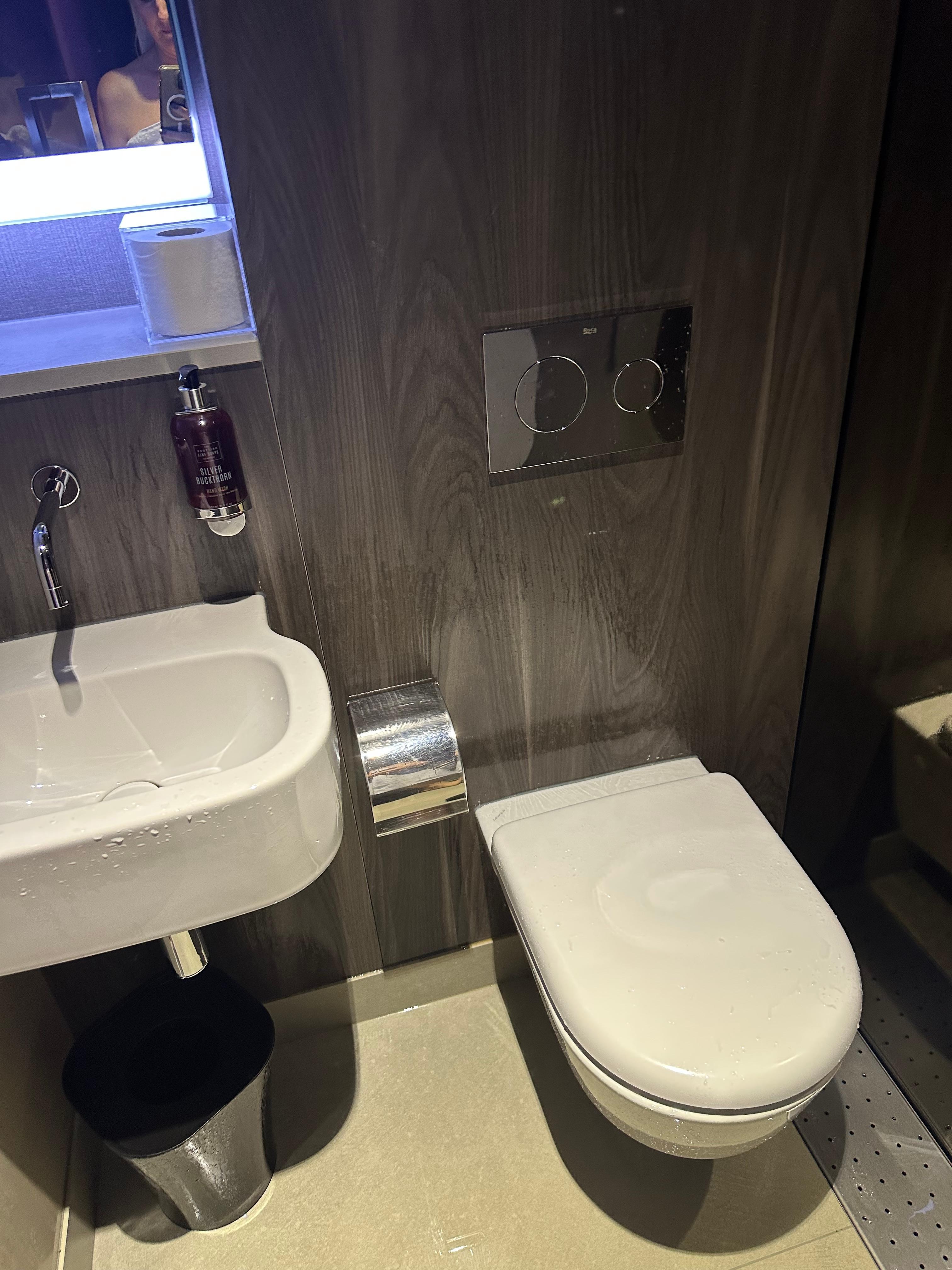 This is the left side of the shower/toilet/sink room.