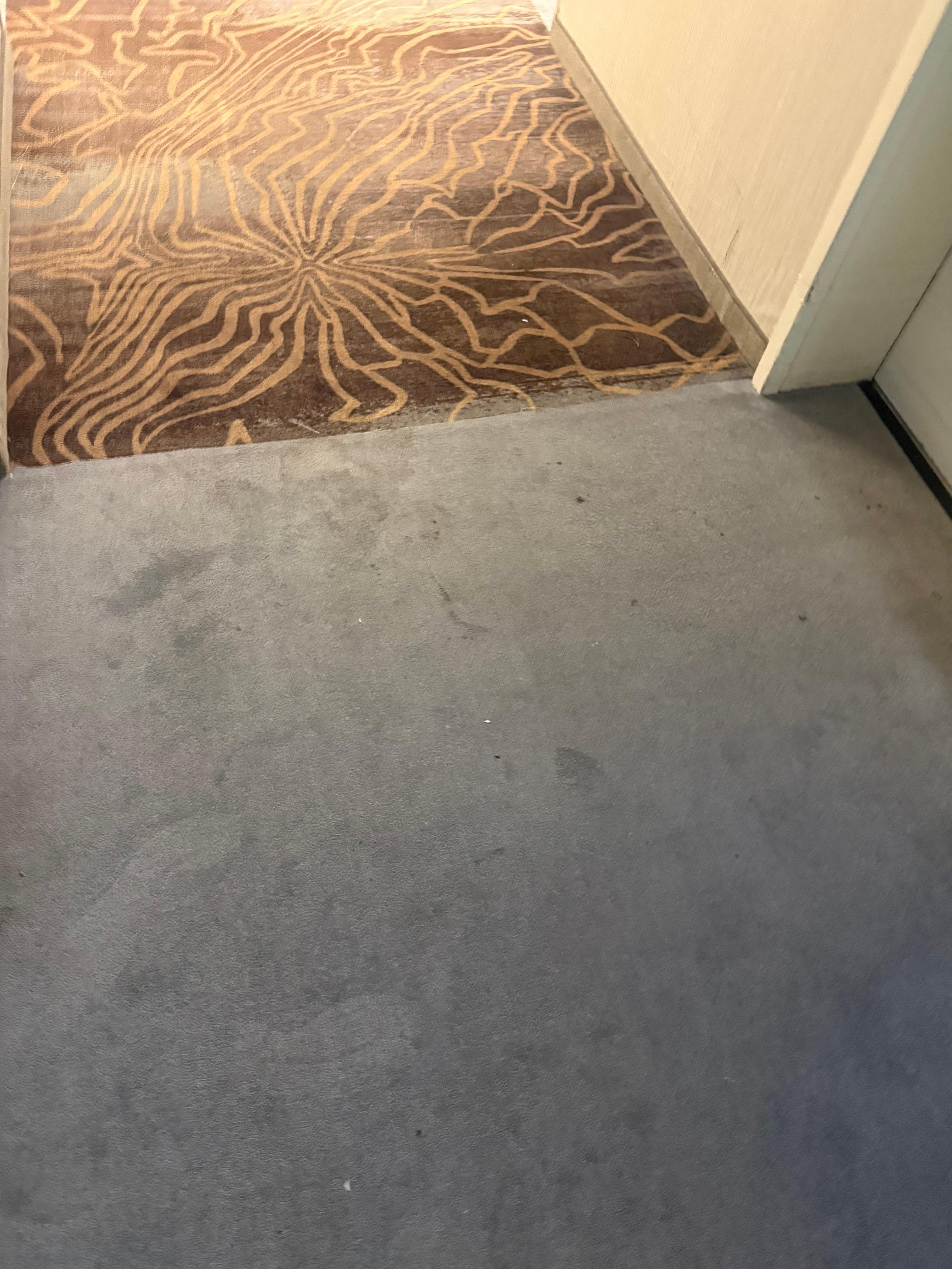 Dirty carpet